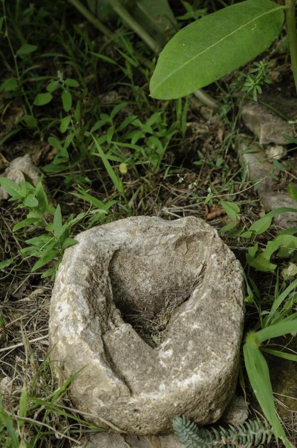 Egrelato Vendeghaz Apartment Balatonakali Luaran gambar