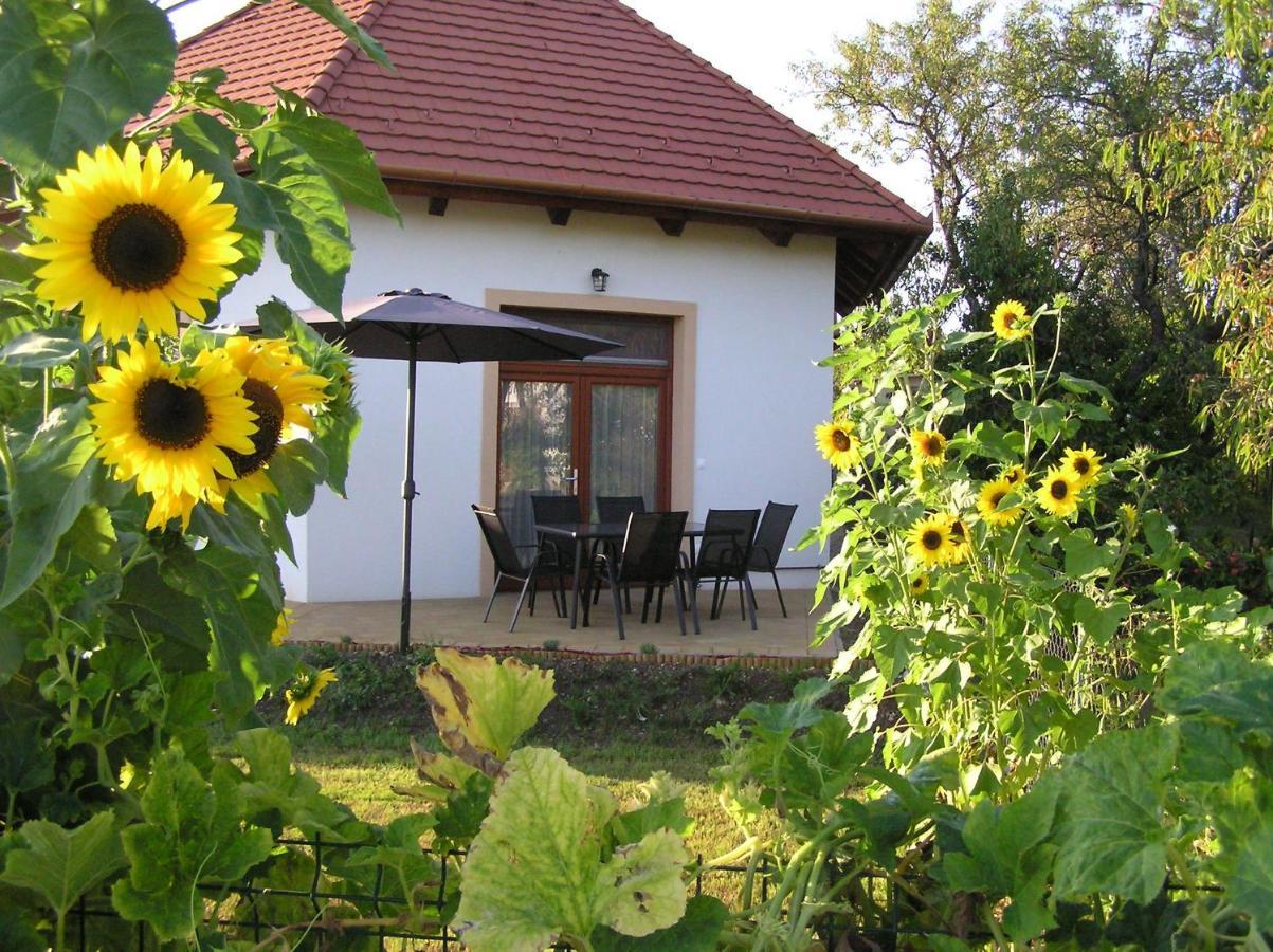 Egrelato Vendeghaz Apartment Balatonakali Luaran gambar
